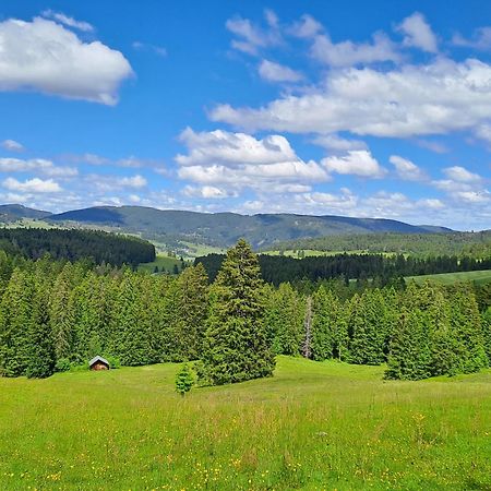 Daheim Im Geissetal Lägenhet Sankt Blasien Exteriör bild