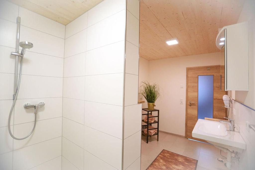 Daheim Im Geissetal Lägenhet Sankt Blasien Exteriör bild