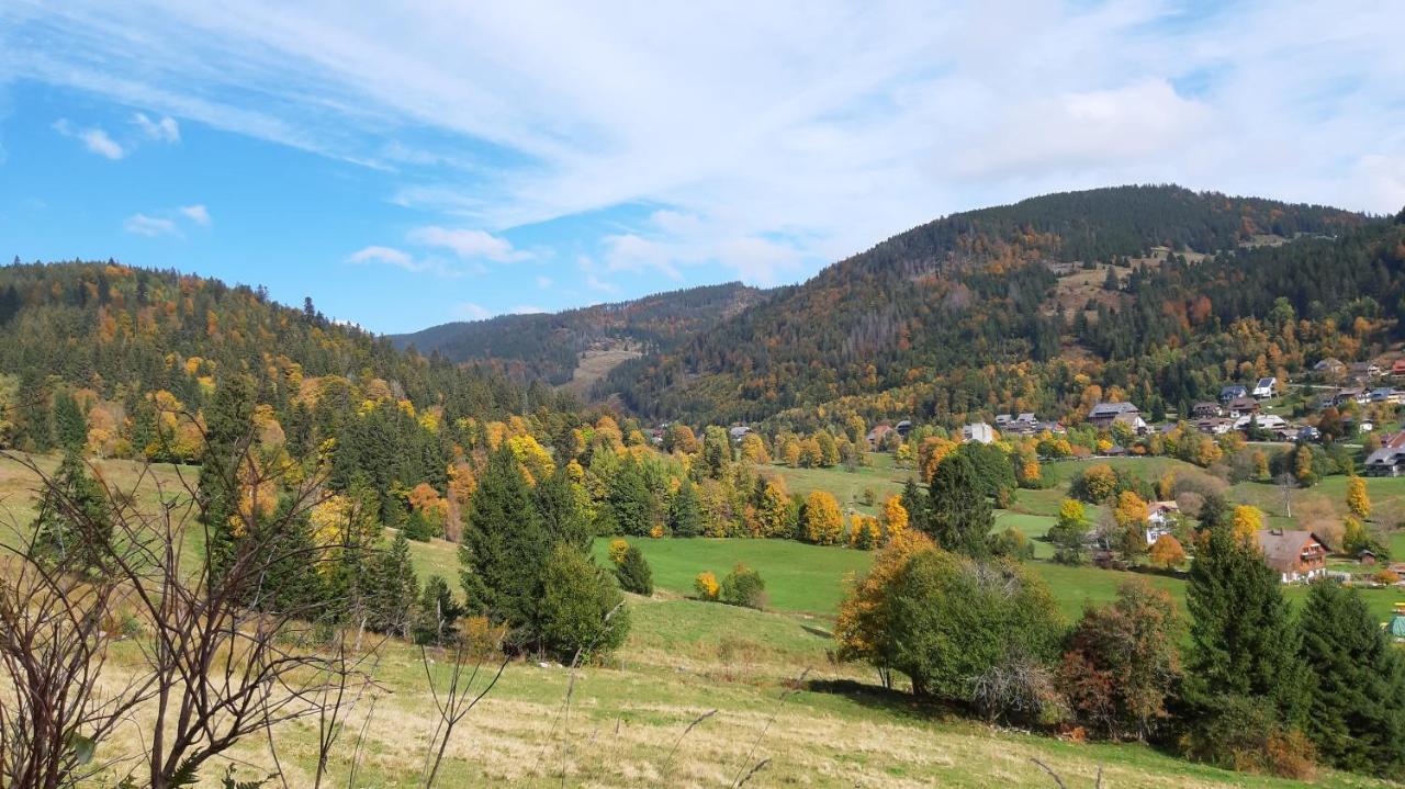 Daheim Im Geissetal Lägenhet Sankt Blasien Exteriör bild