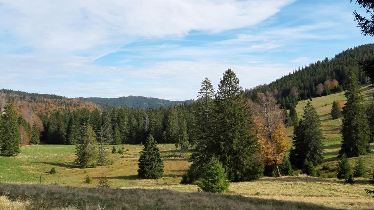 Daheim Im Geissetal Lägenhet Sankt Blasien Exteriör bild