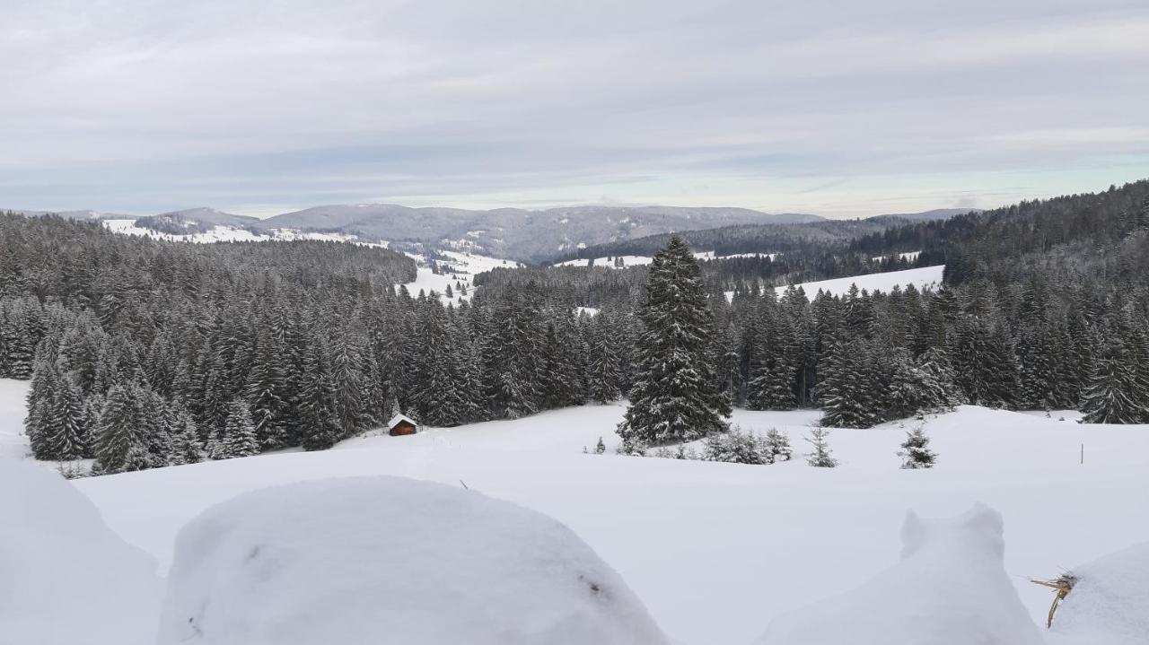 Daheim Im Geissetal Lägenhet Sankt Blasien Exteriör bild