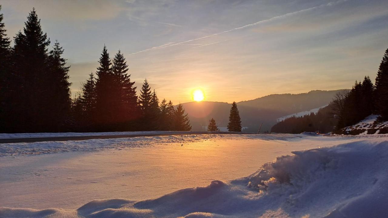 Daheim Im Geissetal Lägenhet Sankt Blasien Exteriör bild
