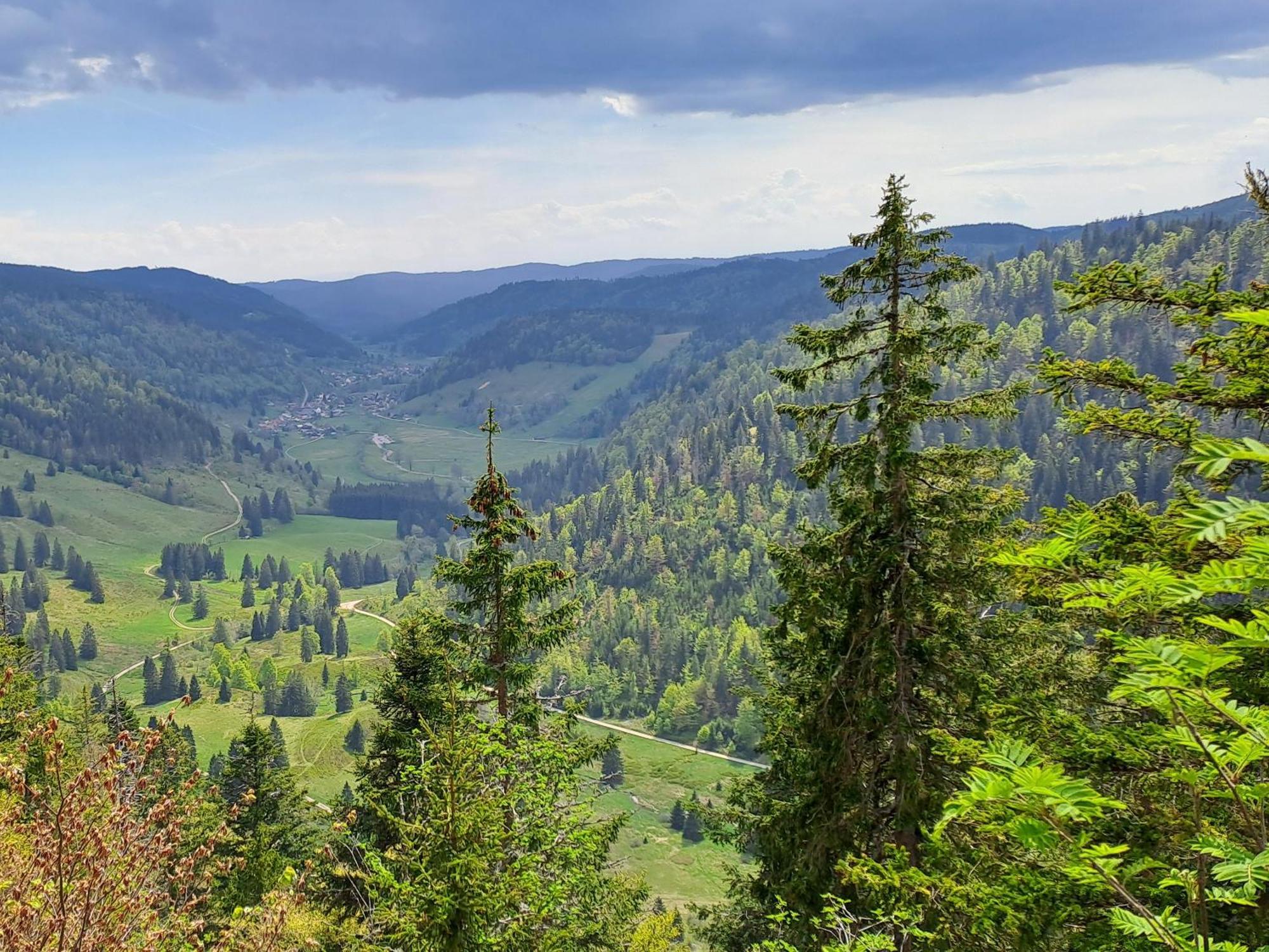 Daheim Im Geissetal Lägenhet Sankt Blasien Exteriör bild